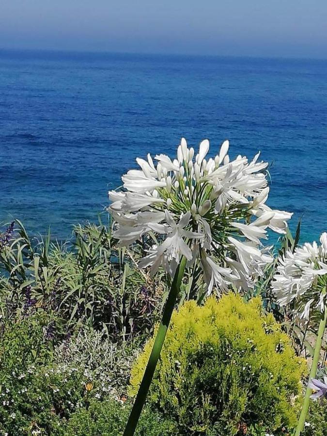 Ikaria Village Maisonette 12 Paphos Luaran gambar