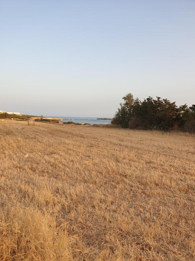 Ikaria Village Maisonette 12 Paphos Luaran gambar