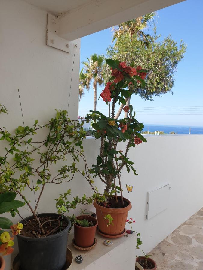 Ikaria Village Maisonette 12 Paphos Luaran gambar